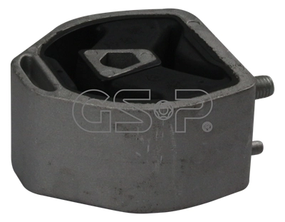 510193 GSP
