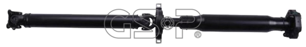 PS900125 GSP