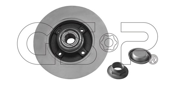  Tarcza hamulcowa tylna Citroen C4 1