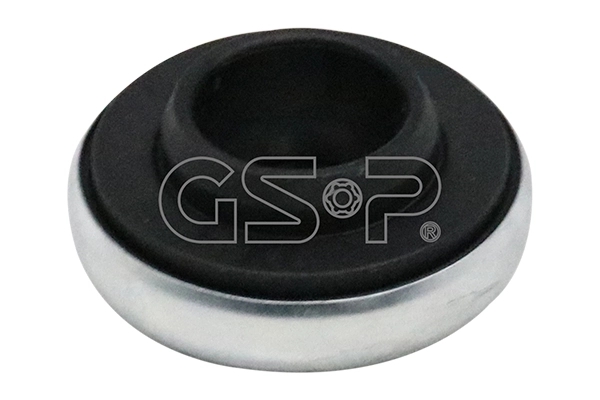 513933 GSP