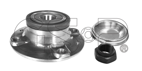Piasta tylna SNR XTGB40917S11P cena, od 40,20 USD