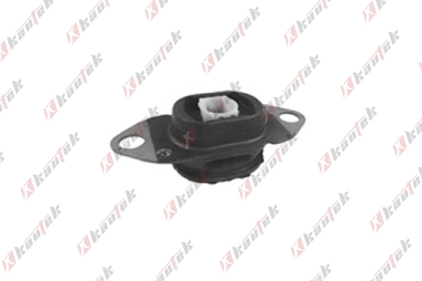 RETM009 Kautek