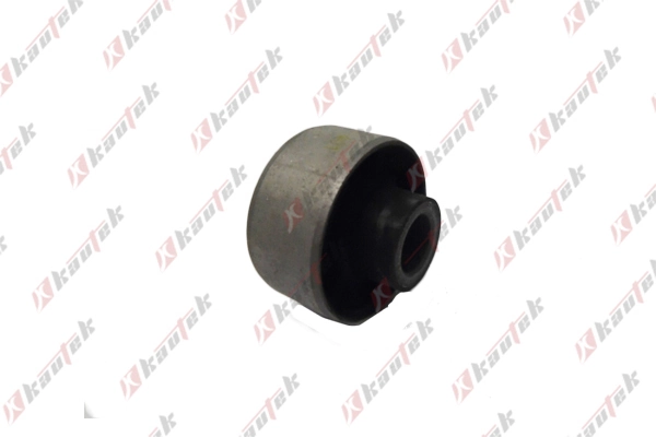 DWBS002 Kautek