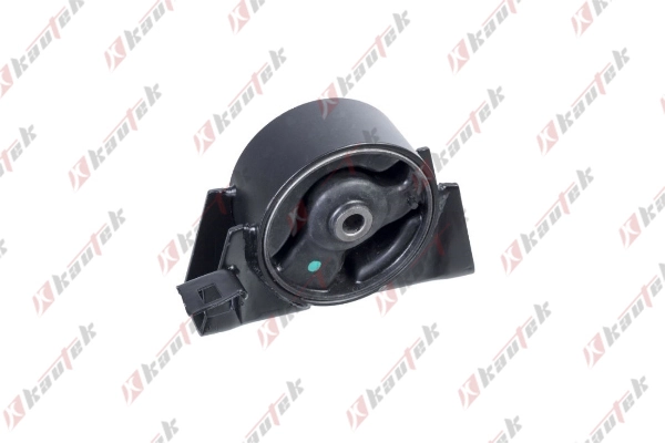 NIEM004 Kautek