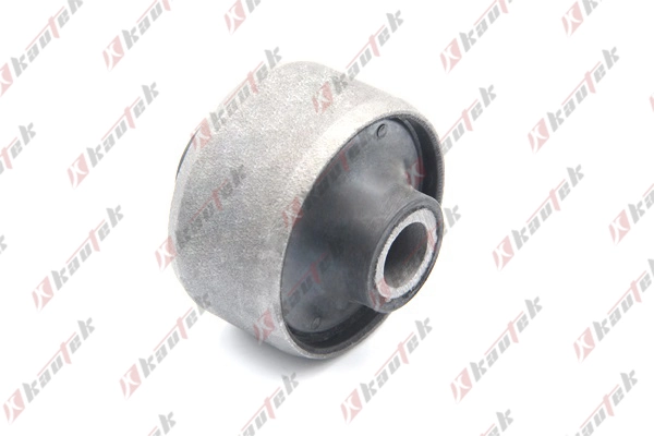 DWBS001 Kautek