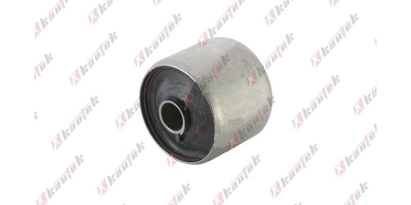 INBS005 Kautek