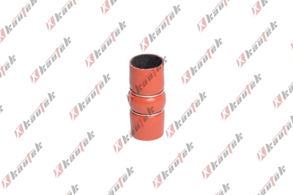 CITH041 Kautek