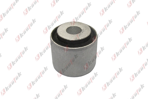 MEBS110 Kautek
