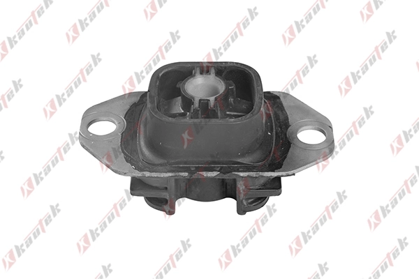RETM002 Kautek