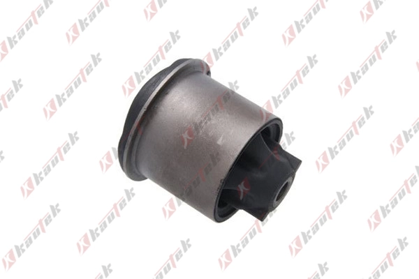 DCBS002 Kautek