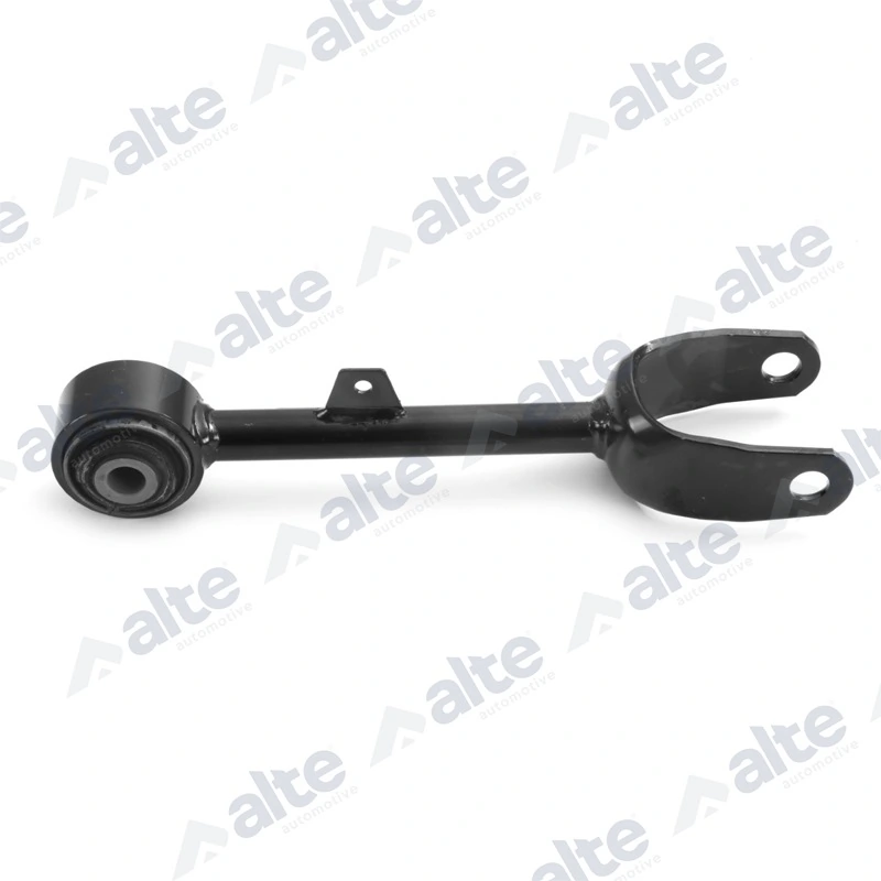 100697EAL Alte