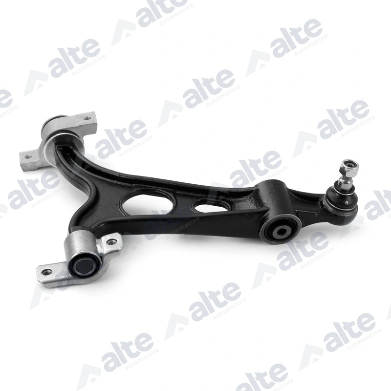 80569AL Alte