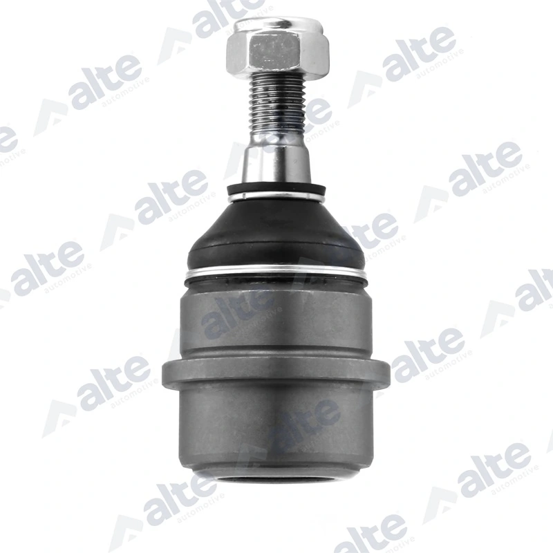 79731AL Alte