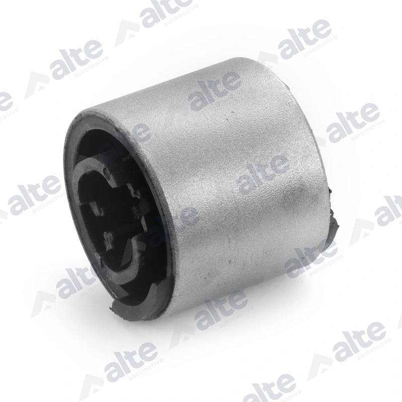 81389AL Alte