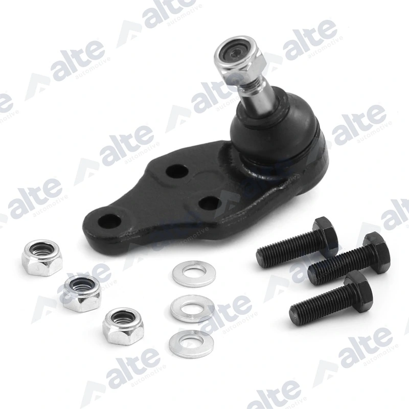 79658AL Alte