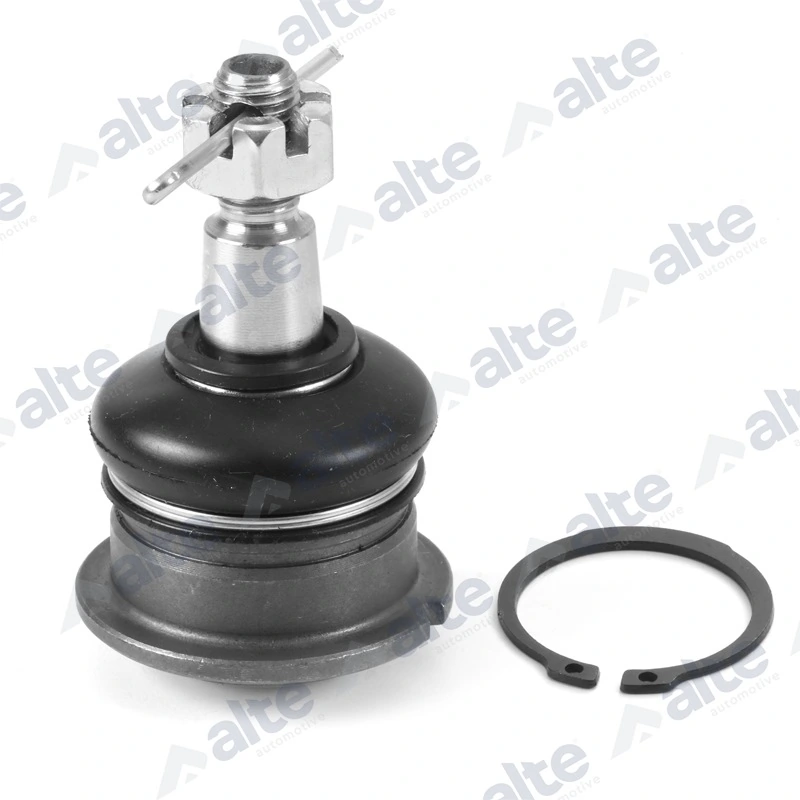 83398AL Alte