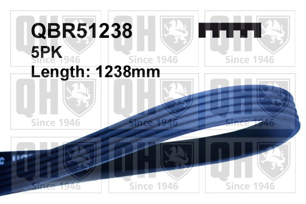 Pasek wielorowkowy Renault Trucks TRUCK PREMIUM