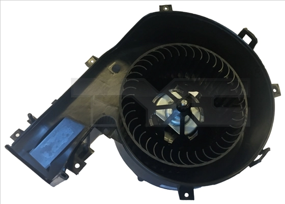 5250001 TYC