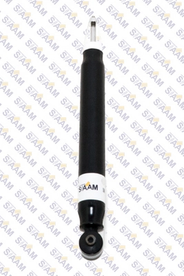 255818G Siaam