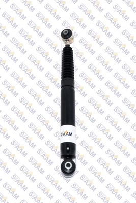215776G Siaam