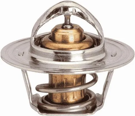 Termostat Ford Transit V