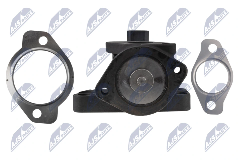 Do koszyka EG1063712B1 Delphi Zawór recyrkulacji spalin EGR