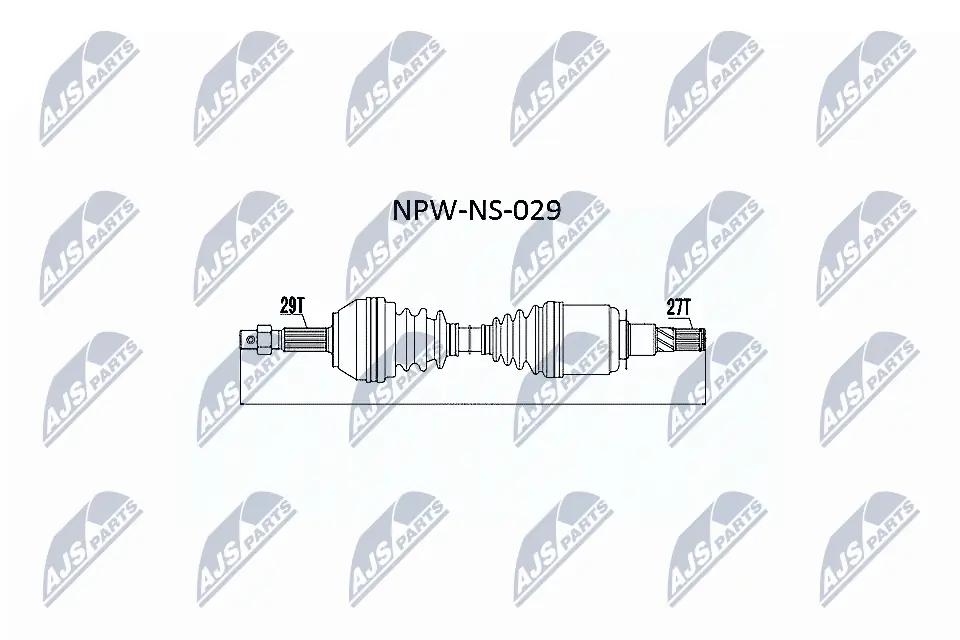 NPWNS029 NTY 