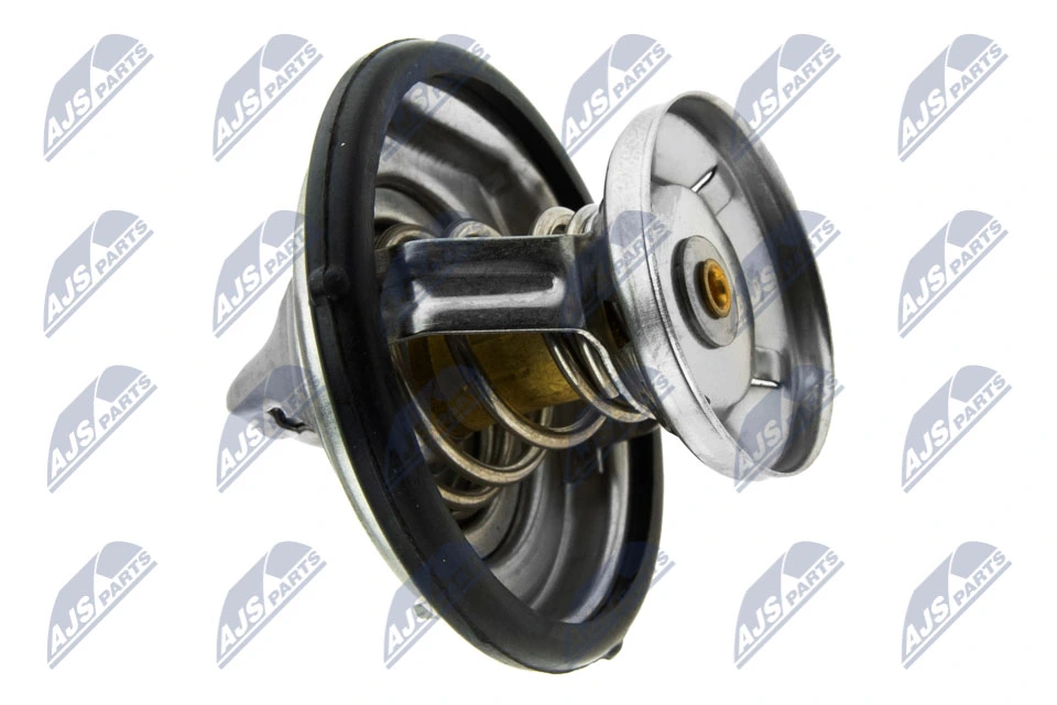 6042030075 Mercedes Termostat