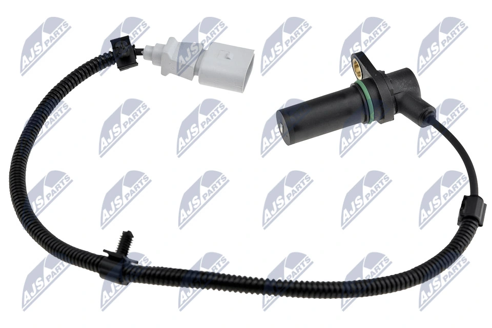 ECPAU030 NTY