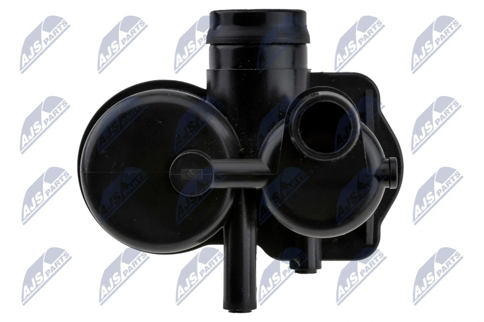 Zawór pochłaniacza oparów paliwa Volkswagen Tiguan BW2, BJ2