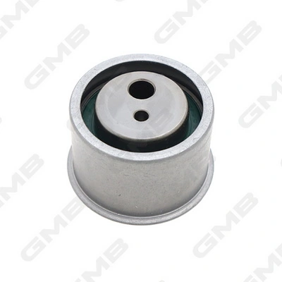 GT10111 GMB