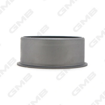 GT60050 GMB Rolka napinacza paska rozrządu