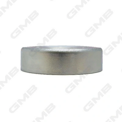Do koszyka MPQ1172 Magneti Marelli Rolka napinacza paska napędowego