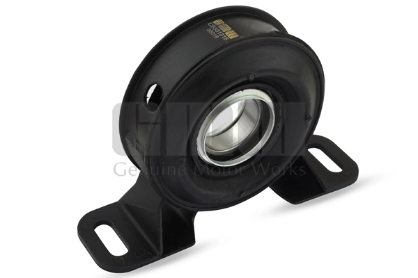 CB351315 GMW