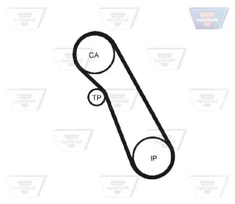  Pasek rozrządu Ford Connect 