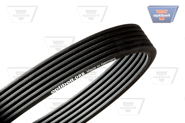 6DPK1817 Optibelt