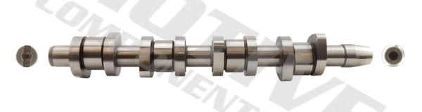 T2616 Motive