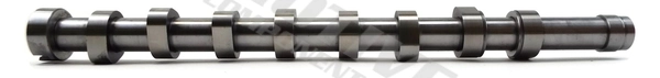 T1965 Motive