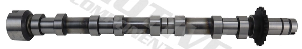 T4433 Motive