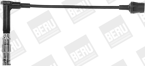 ZEF641 Beru