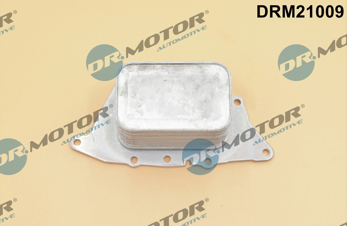 DRM21009 Dr.motor