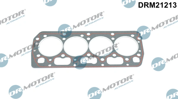 DRM21213 Dr.motor