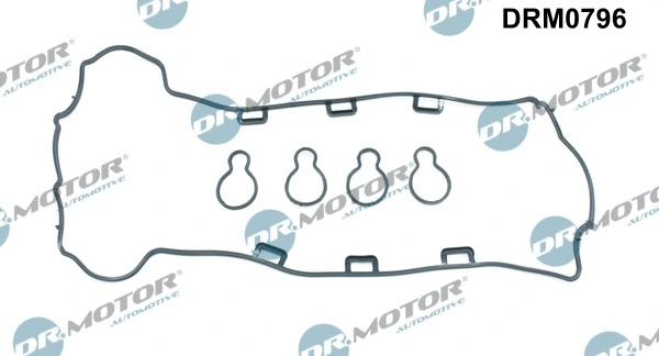 DRM0796 Dr.motor