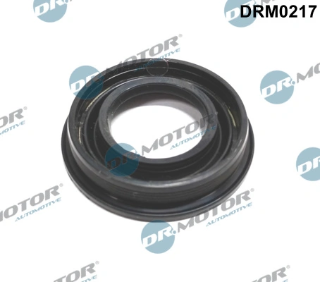 DRM0217 Dr.motor