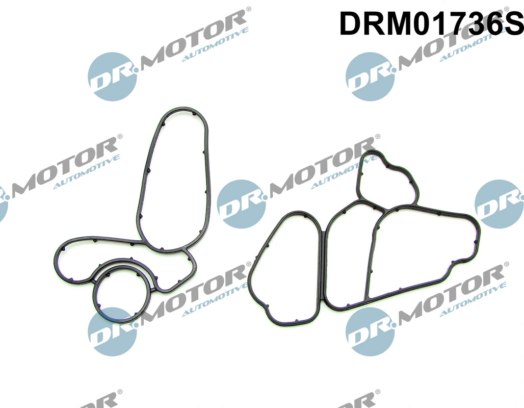 DRM01736S Dr.motor