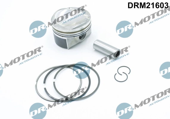 DRM21603 Dr.motor