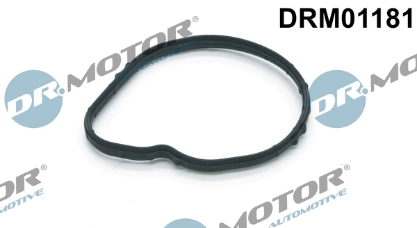 DRM01181 Dr.motor