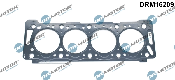 DRM16209 Dr.motor