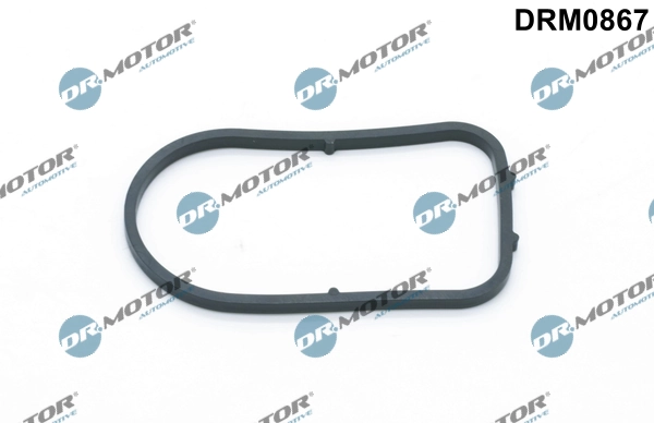 DRM0867 Dr.motor