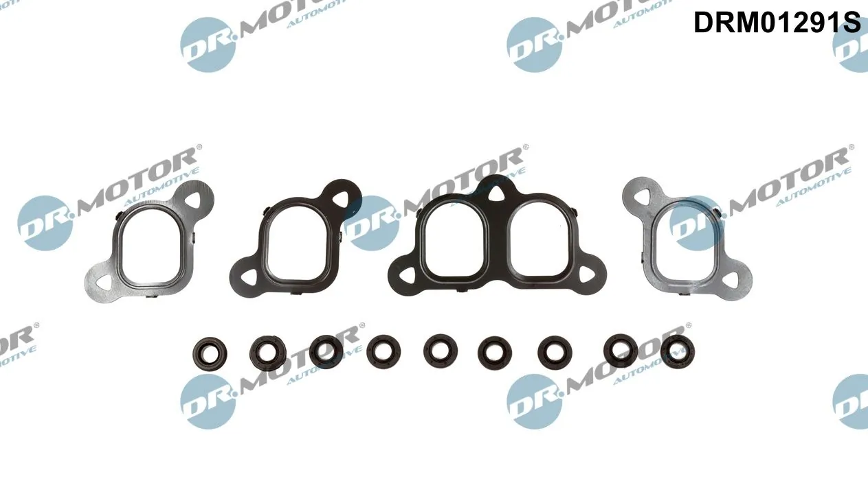 DRM01291S Dr.motor